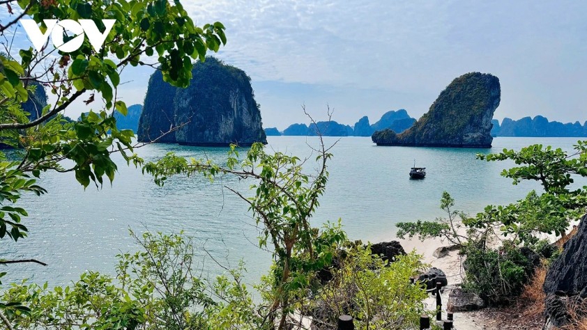 Vietnam’s beauty offers unforgettable experiences for international visitors